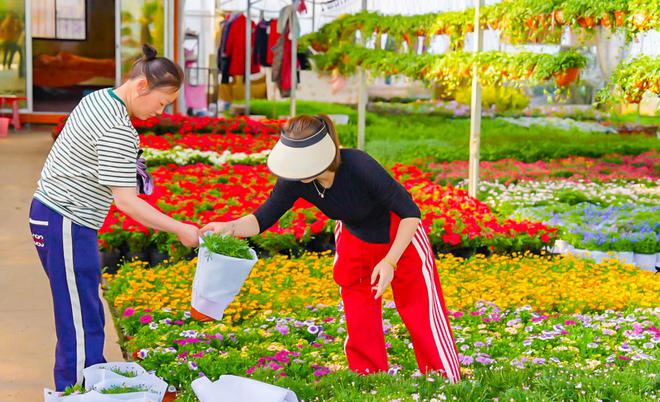 天博体育官方平台入口花木市场春意浓时令鲜花走俏(图2)