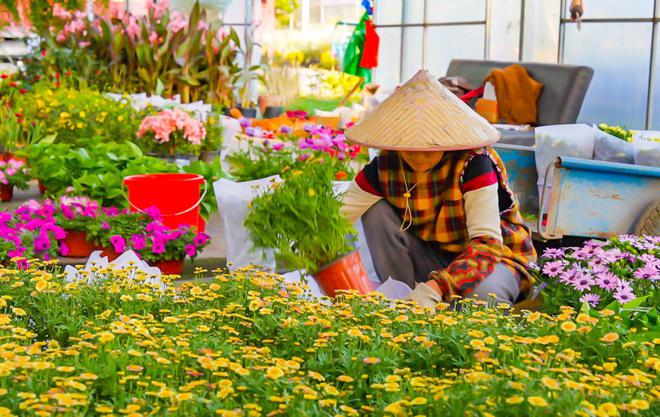 天博体育官方平台入口花木市场春意浓时令鲜花走俏(图1)